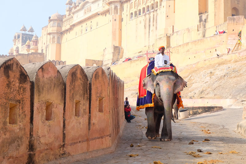 man riding Indian elephant through town