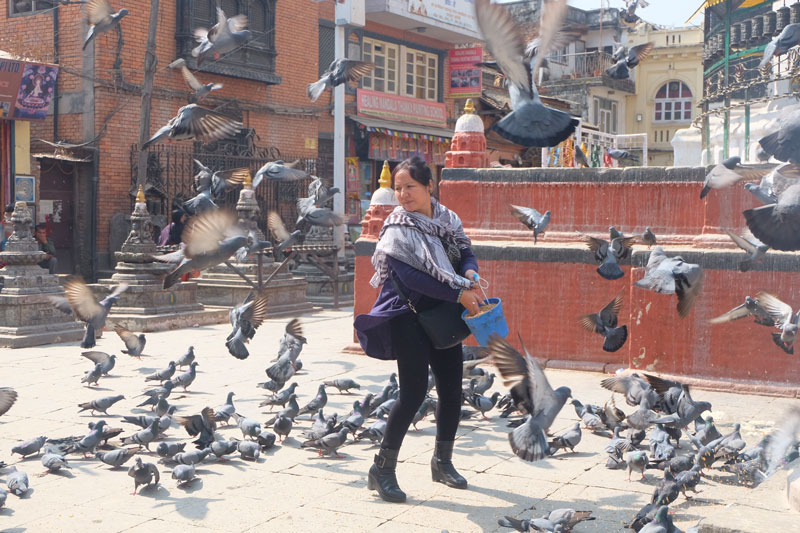 Patchwork travel Nepal