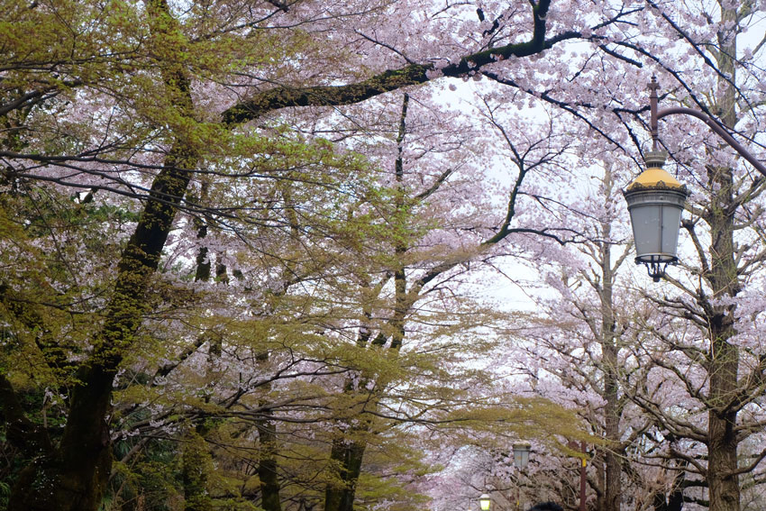 Patchwork travel Japan