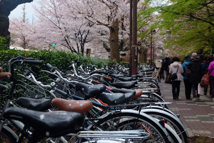 Patchwork travel Japan