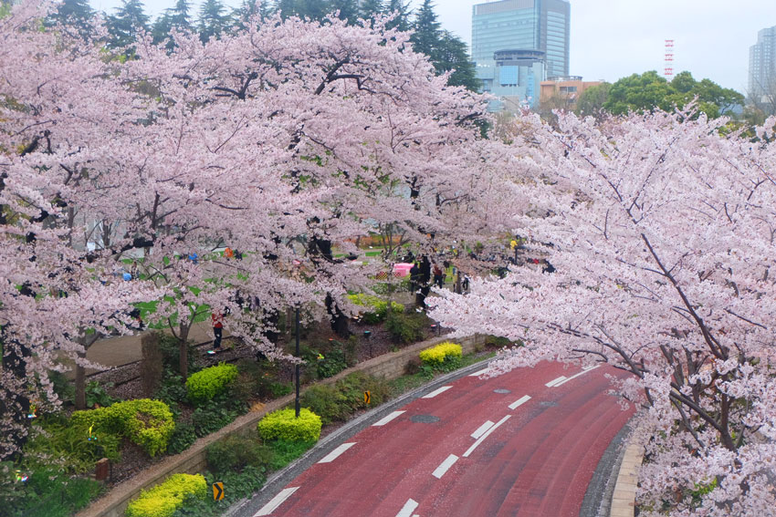 Patchwork travel Japan