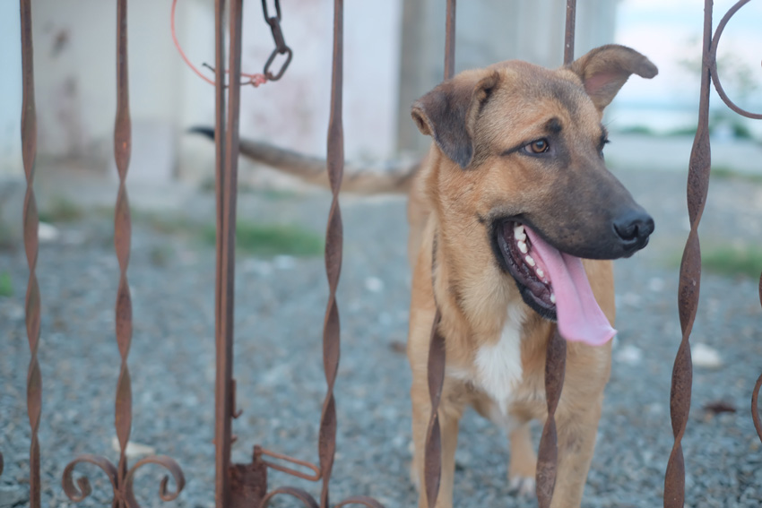 Cuba photo diary