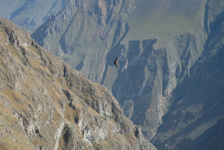 Peru photo diary