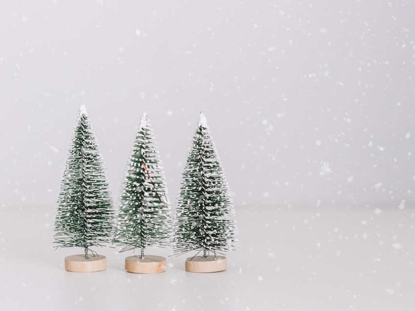 three tiny snow covered fir tree decorations